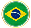 brazil flag icon